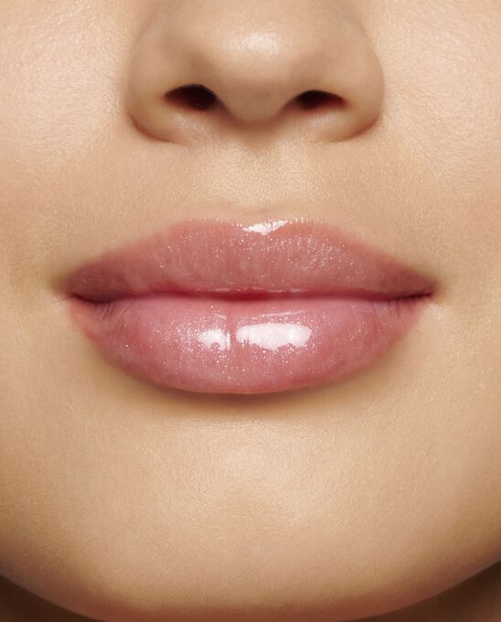 GLOSS LABIAL LIP PERFECTOR 22